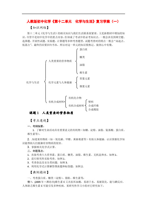 人教版九年级化学下册 《化学与生活》复习学案