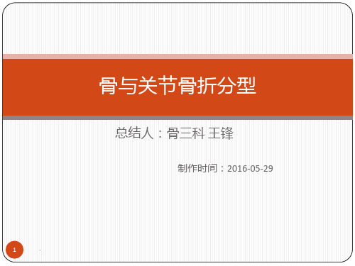 《骨与关节骨折分型》PPT课件