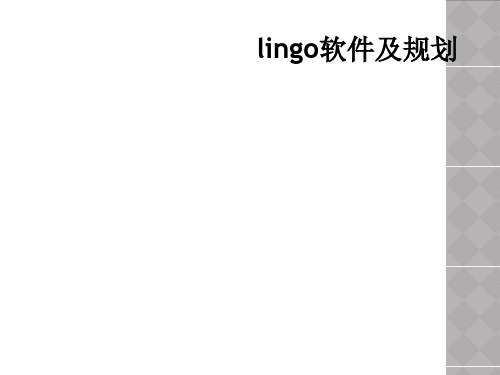 lingo软件及规划