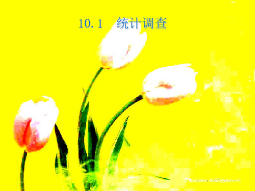 人教版七年级数学下册第十章《101 统计调查1》优课件