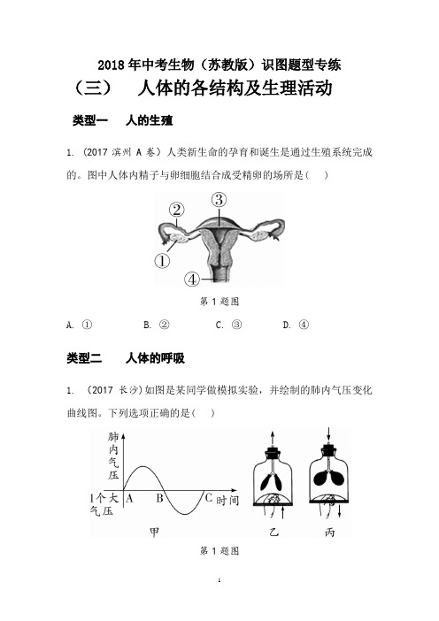 2018年中考生物(苏教版)识图题型专练-人体各结构及生理活动