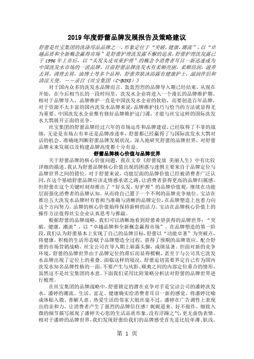 舒蕾品牌发展报告及策略建议(doc7)word精品文档5页