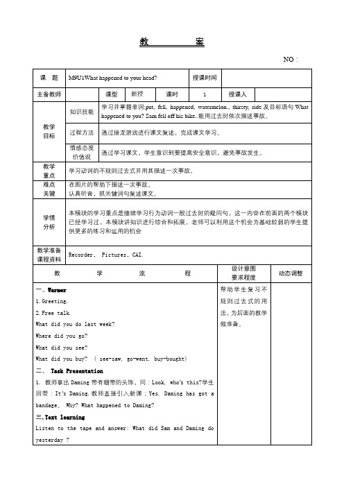 Module 9 Unit 1 What happened to your head(教案)-202