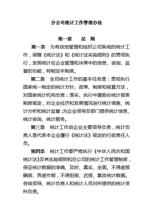 分公司统计工作管理办法