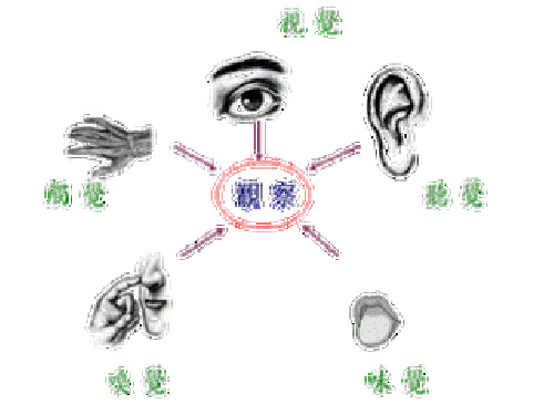 运用多种感官描写