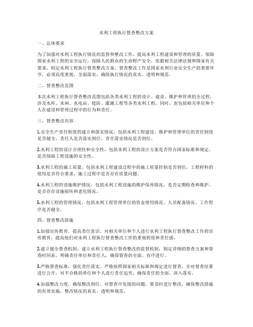 水利工程执行督查整改方案