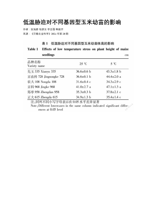 低温胁迫对不同基因型玉米幼苗的影响