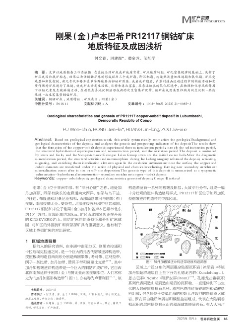 刚果(金)卢本巴希PR12117铜钴矿床地质特征及成因浅析