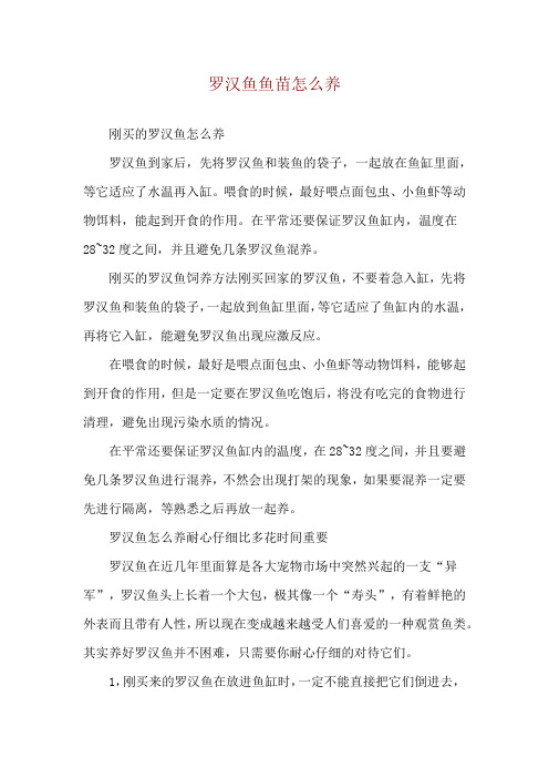 罗汉鱼鱼苗怎么养