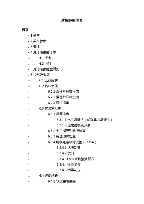 片形吸虫简介