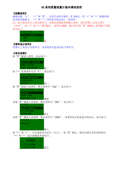 E+H质量流量计基本调试说明 83