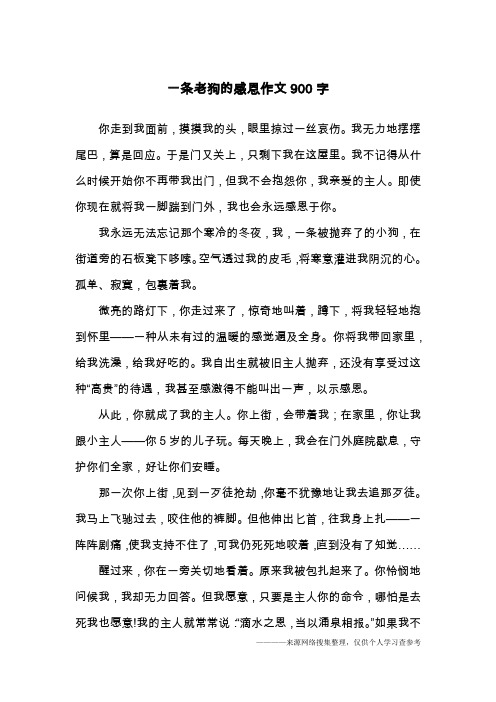 一条老狗的感恩作文900字