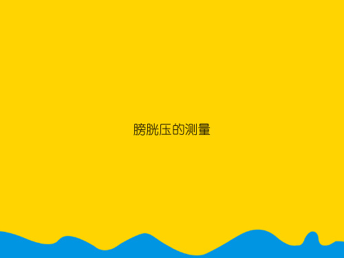 膀胱压的测量.精选PPT