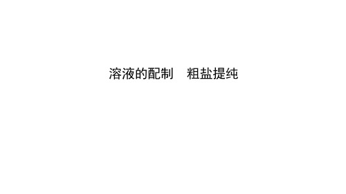 人教版九年级化学中考知识点过关专题复习课件 溶液的配制 粗盐提纯