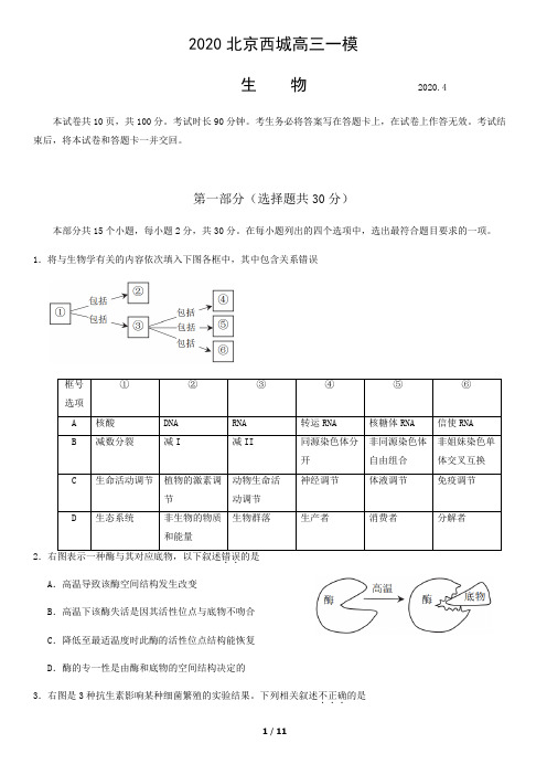 2020年西城一模试卷 生物