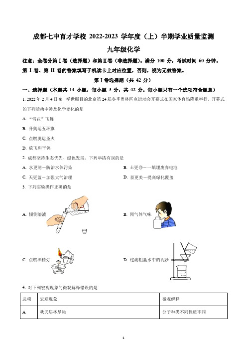 四川省成都市锦江区成都市第七中学育才学校2022-2023学年九年级上学期期中化学试题