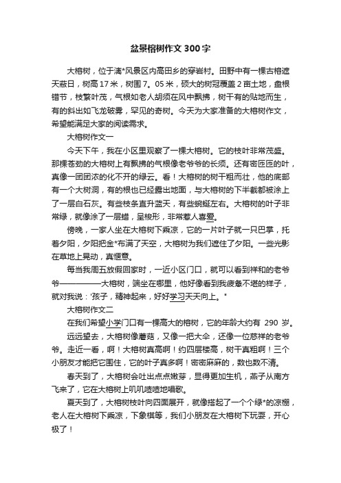 盆景榕树作文300字