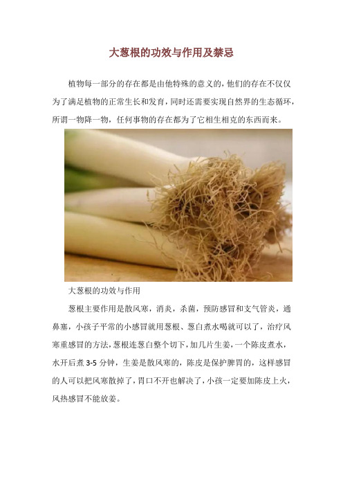 大葱根的功效与作用及禁忌