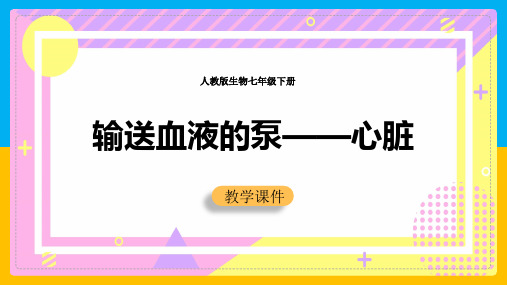 初中生物人教版七年级下册《第四章第三节输送血液的泵心脏》课件