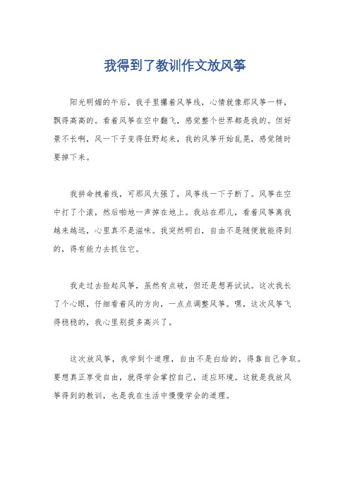 我得到了教训作文放风筝