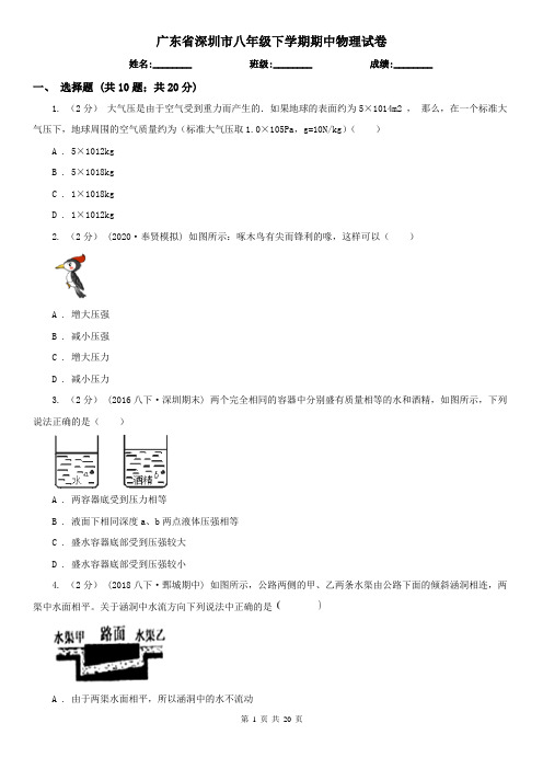 广东省深圳市八年级下学期期中物理试卷