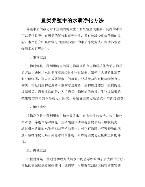 鱼类养殖中的水质净化方法