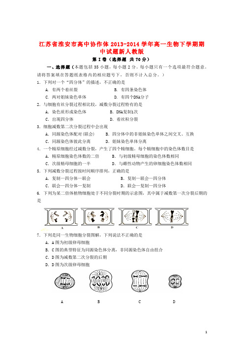 江苏省淮安市高中协作体高一生物下学期期中试题新人教版