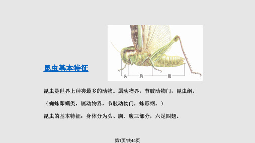 病虫害基础知识PPT课件