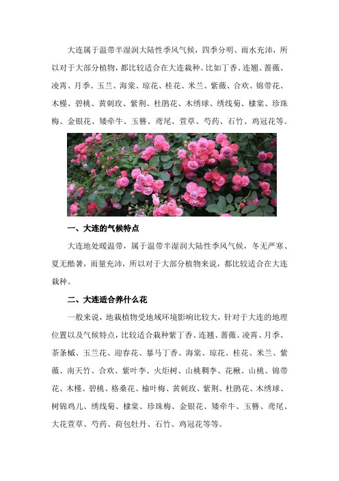 大连适合养什么花,市花和市树是什么