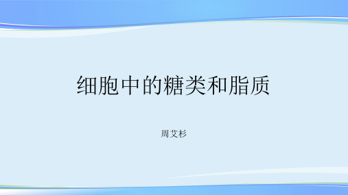 人教版高一生物必修一2.4细胞中的糖类和脂质课件(共23张PPT)【推荐下载课件】