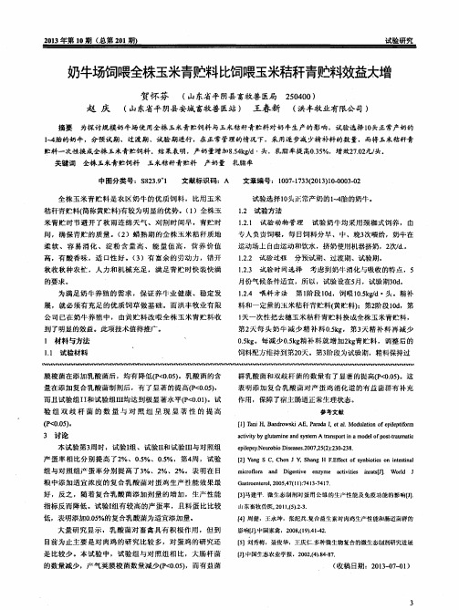 奶牛场饲喂全株玉米青贮料比饲喂玉米秸秆青贮料效益大增