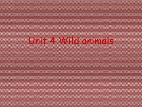 Unit4《Wildanimals》课件8(12页)(牛津译林八年级上)