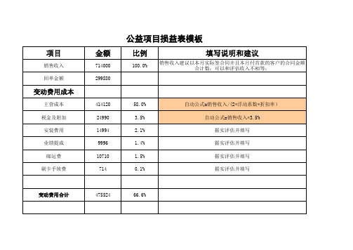 公益项目损益表模板