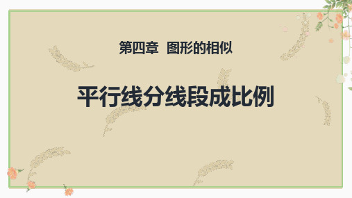 北师大版九年级数学上册 (平行线分线段成比例)图形的相似教育课件