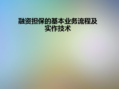 融资担保的基本业务流程及实作技术