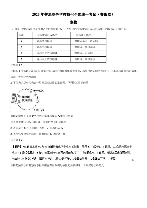 高中生物高考高考冲刺 2023年高考模拟试题生物(安徽卷)解析版