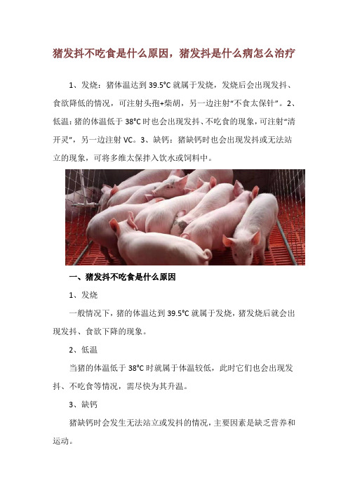 猪发抖不吃食是什么原因,猪发抖是什么病怎么治疗