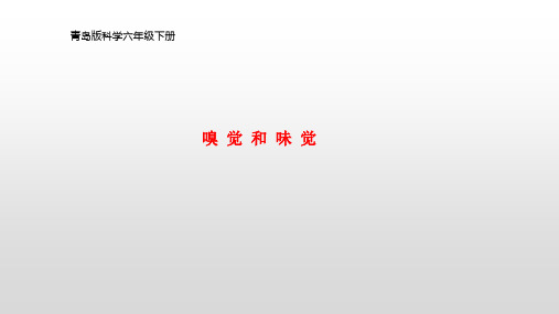 青岛版科学六年级下册《嗅觉和味觉》课件