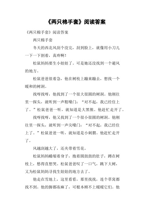 《两只棉手套》阅读答案