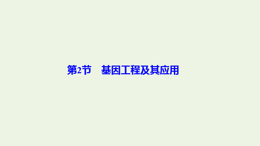 2019-2020学年高中生物 第6章 从杂交育种到基因工程 第2节 基因工程及其应用课件 新人教版必修2