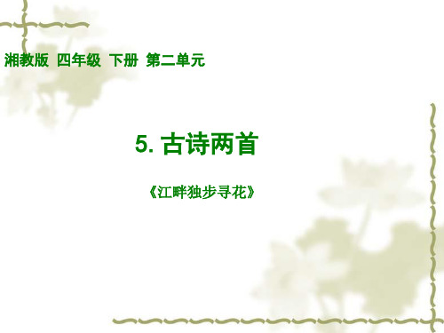 江畔独步寻花1