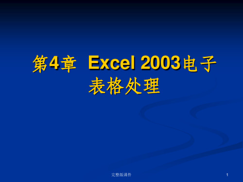 Excel2003电子表格处理