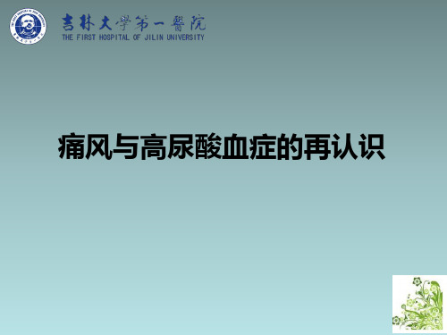 中国痛风临床诊治指南解读