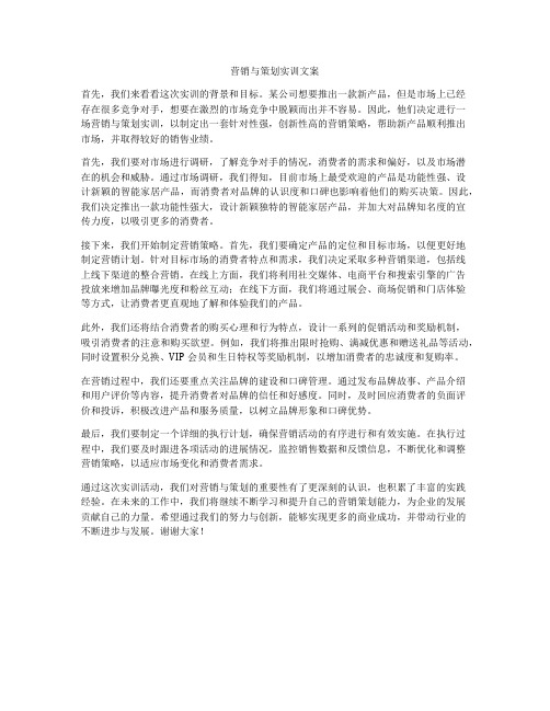 营销与策划实训文案