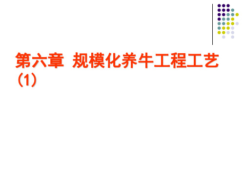 第六竣？ 规模化养牛工程工艣？(1)