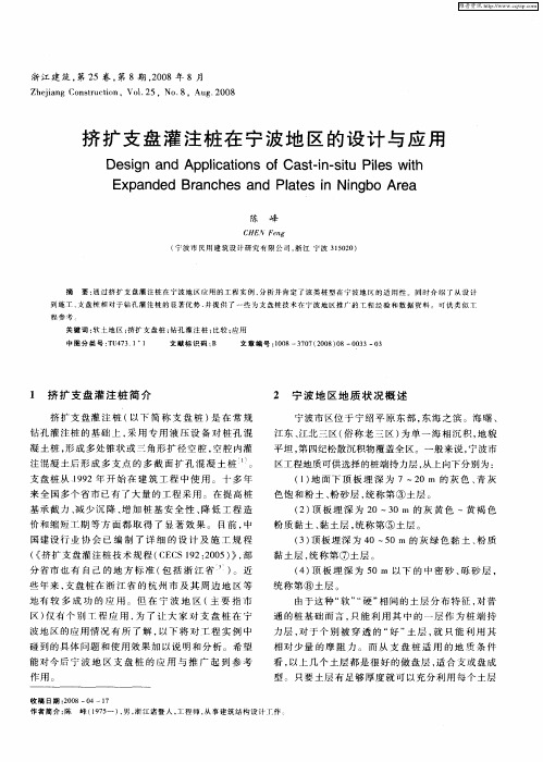 挤扩支盘灌注桩在宁波地区的设计与应用