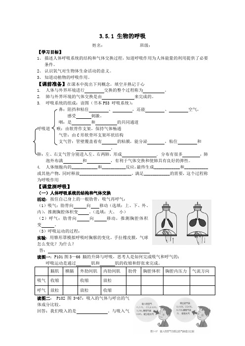 3.5生物的呼吸和呼吸作用导学案