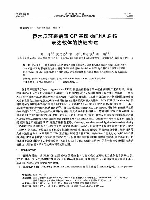 番木瓜环斑病毒CP基因dsRNA原核表达载体的快速构建