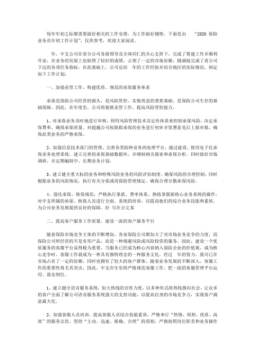 2020保险业务员年初工作计划