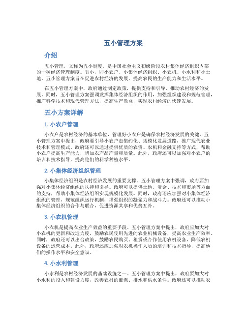 五小管理方案